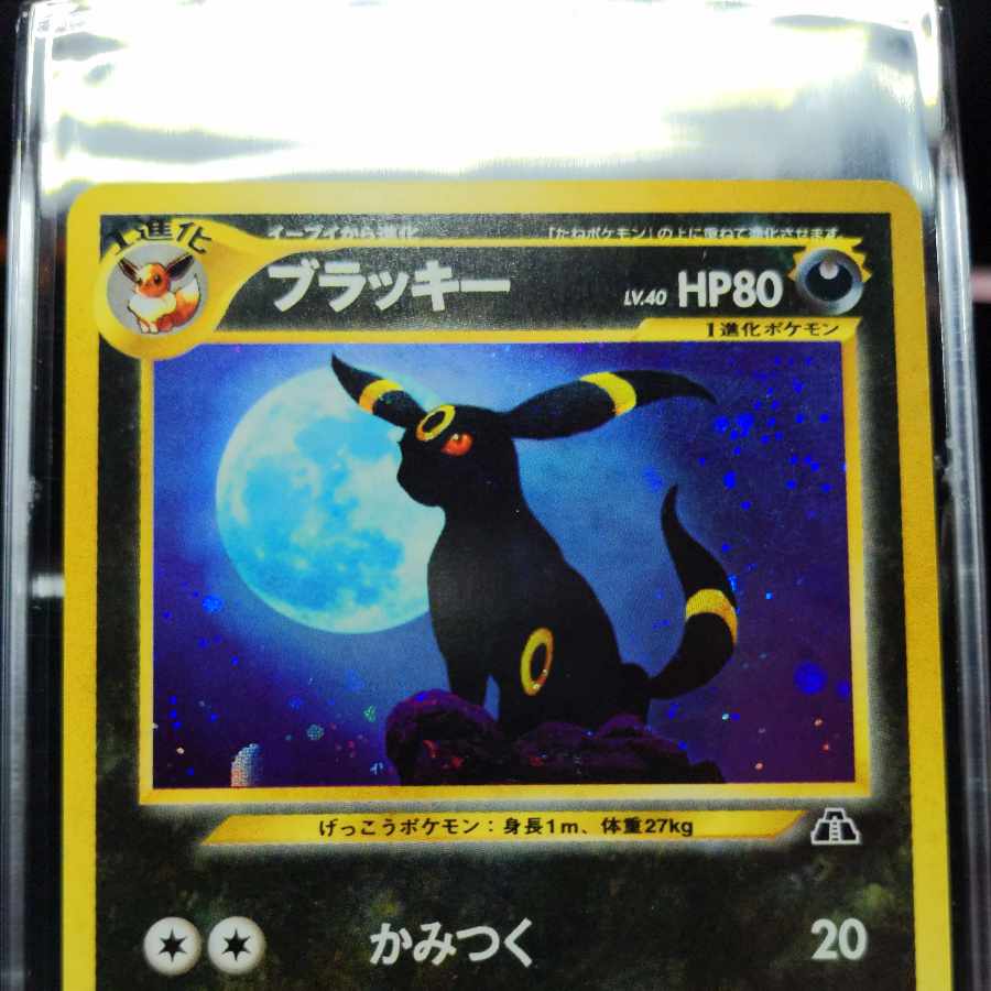 No40 ブラッキー 旧裏 表NM- 裏NM-