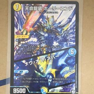 天命龍装ホーリーエンド