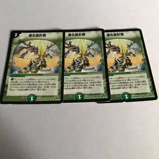 進化設計図　3枚