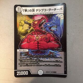 「拳」の頂きデシブコグーチーパ