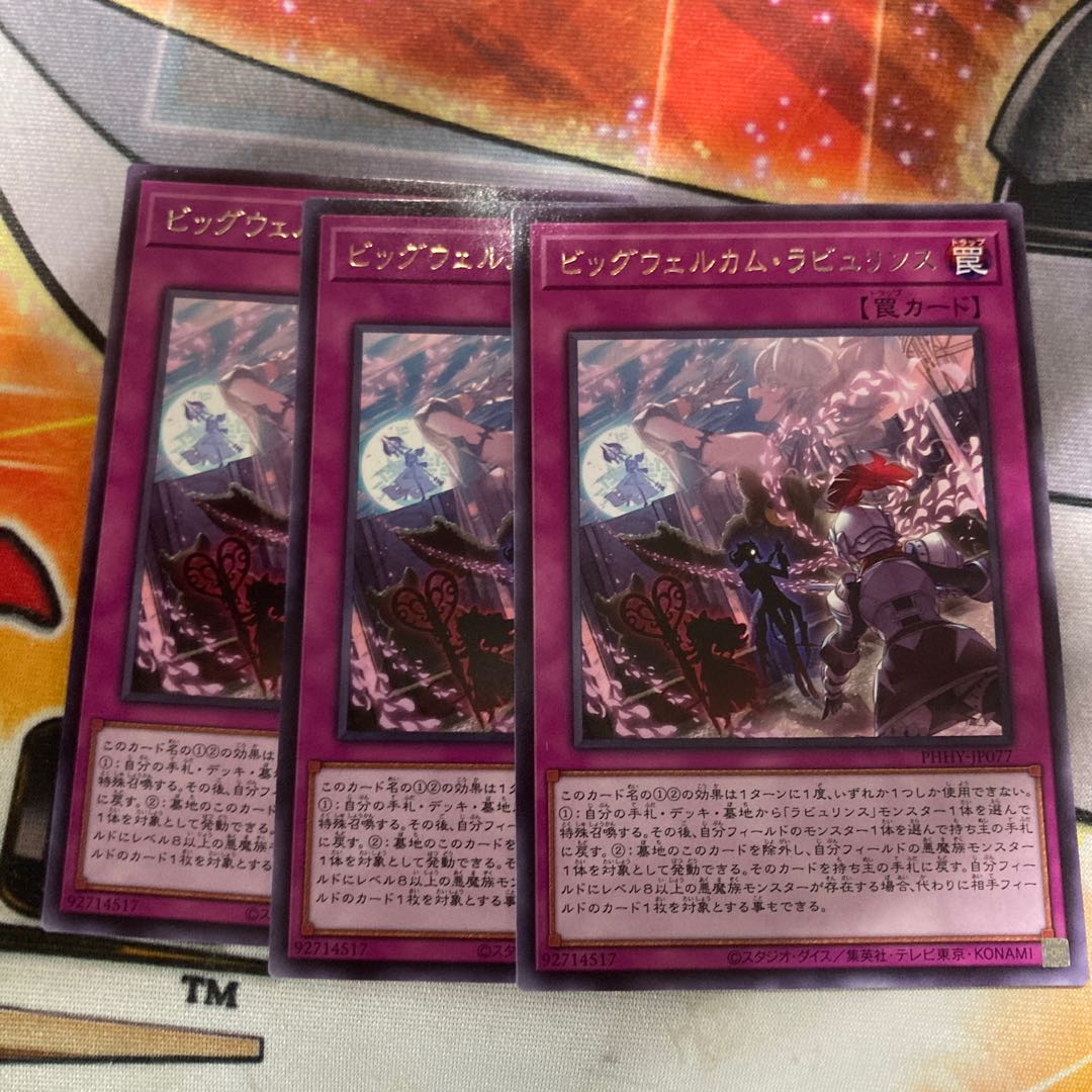 Big Welcome Labourince Rare JP077