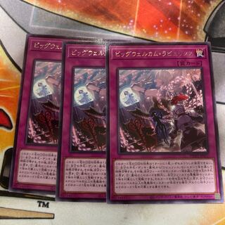 Big Welcome Labourince Rare JP077