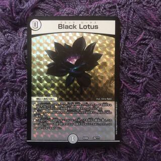 BlackLotus  ブラックロータス