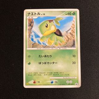 超希少極‼️ ナエトル　ハヤシガメ　ドダイトス　プロモ　幻カード　3枚　ホロ　渦巻 ナエトル」の激安通販 | magi