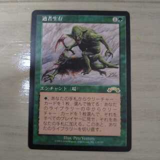 MTG 適者生存