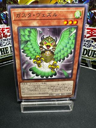 Gusto Vedir Rare JP019