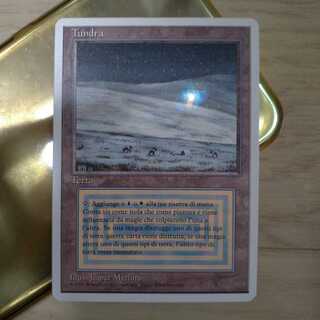 【美品】MTG Tundra イタリア語