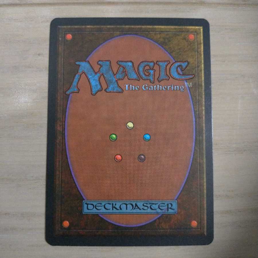 【美品】MTG Tundra イタリア語