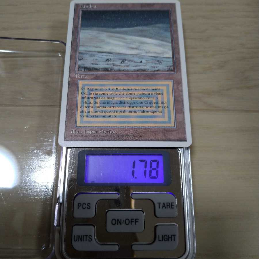 【美品】MTG Tundra イタリア語