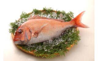 【プロテクト】永遠のリュウセイ・カイザーver.