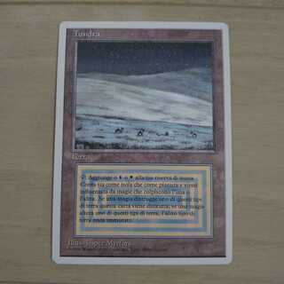 【美品】MTG Tundra イタリア語