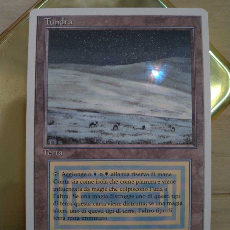 【美品】MTG Tundra イタリア語