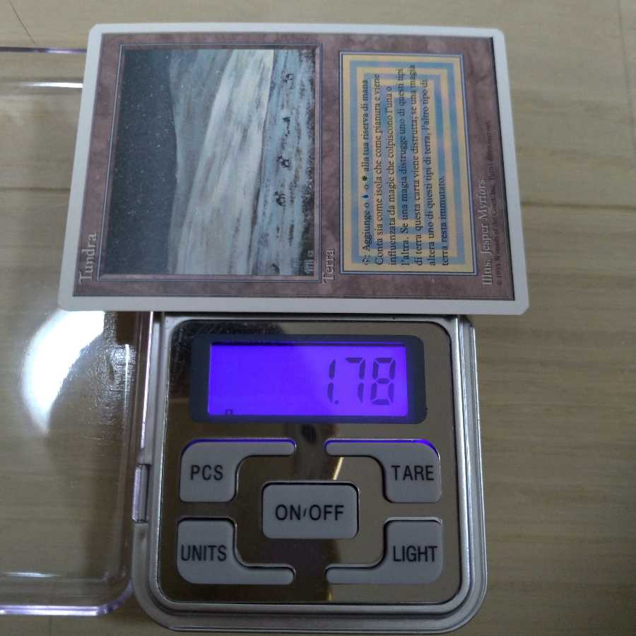 【美品】MTG Tundra イタリア語