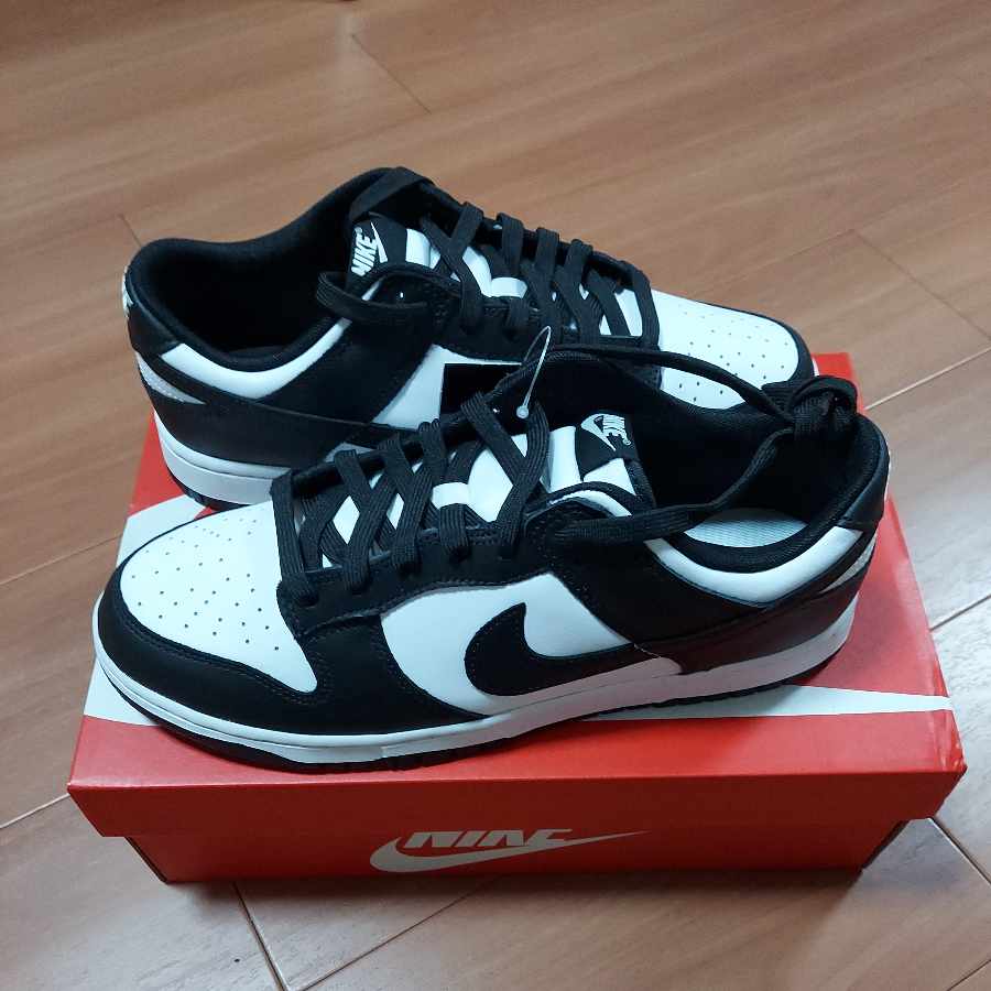Nike Dunk Low Retro Ho Wight/Black Wight DD1391-100 28.5cm