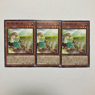 苗と霞の春化精 ノーマル JP026