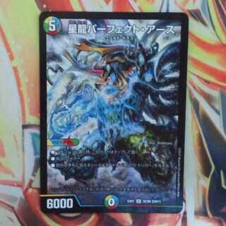 星龍パーフェクト・アース