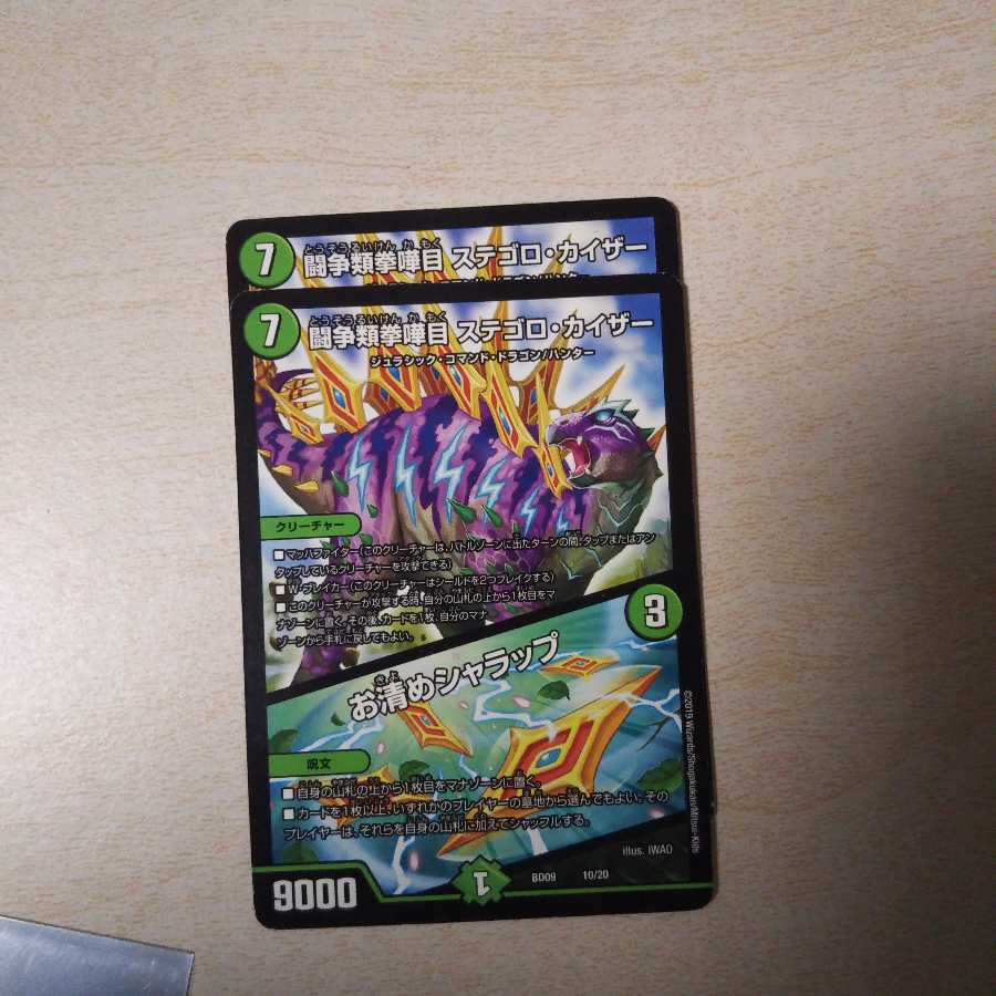 闘争類拳嘩目ステゴロ・カイザー二枚