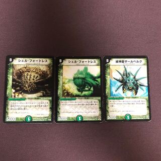 ザールベルグ シェルフォートレス 計3枚