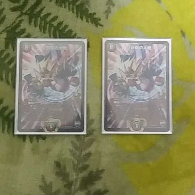 俺しか負けない(発送早)様専用 蒼龍の大地プロモ (美品)