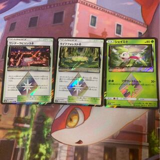 ライフフォレスト　その他　アルゴン様