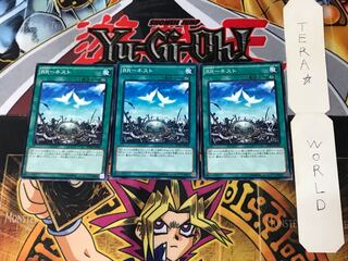 RR-Nest 3 Normal, set of 3 Tera.