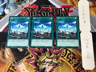 RR-Nest 4 Normal, set of 3 Tera.