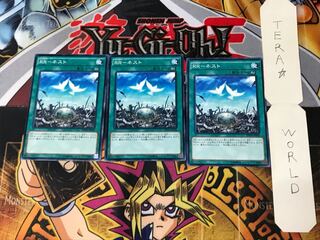 RR-Nest 5 Normal, set of 3 Tera.