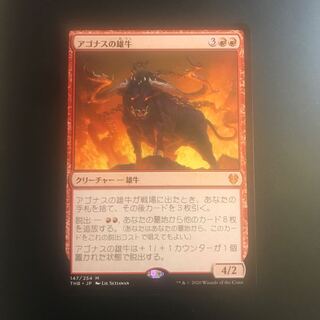 【さとし様専用】アゴナスの雄牛　2枚セット