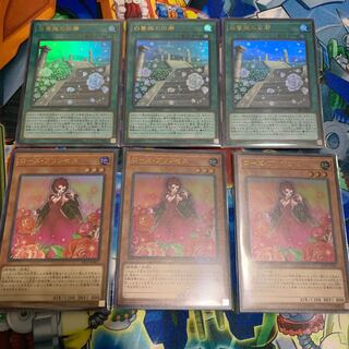 ローズプリンセスセット