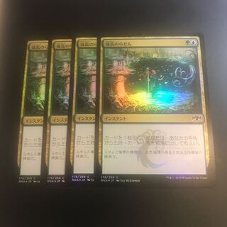 【foil】成長のらせん　4枚セット