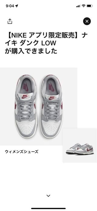 Nike Women's Dunk Low "Rosewood" Summit HoWight/Wolf Grey/Black/Rosewood DD1503-122 27.5cm