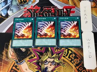 炎熱伝導場 1 ノーマル 3枚セット てら