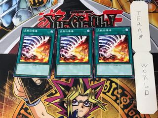 炎熱伝導場 5 ノーマル 3枚セット てら