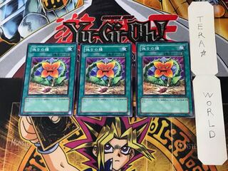 Seed of Deception 1 Normal, set of 3 Tera.