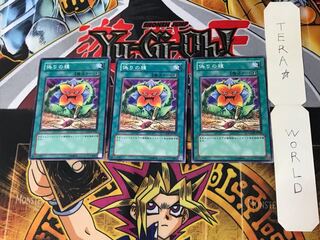 Seed of Deception 5 Normal, set of 3 Tera.