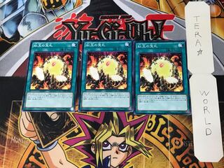 Cards of the Red Stone 1 Normal 3-card set Tera