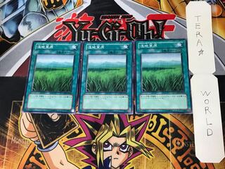 湿地草原 1 ノーマル 3枚セット てら