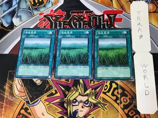 湿地草原 2 ノーマル 3枚セット てら