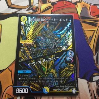 天命龍装ホーリーエンド