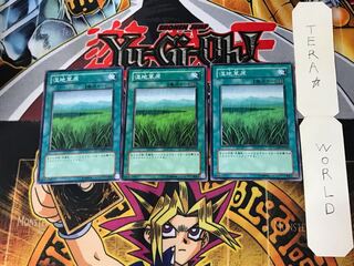 湿地草原 3 ノーマル 3枚セット てら
