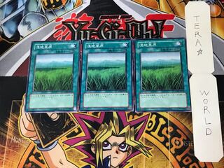 湿地草原 4 ノーマル 3枚セット てら