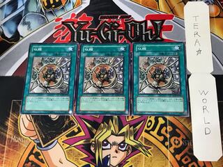 Shrink 2 Normal, set of 3 Tera.