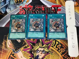 Shrink 4 Normal, set of 3 Tera.