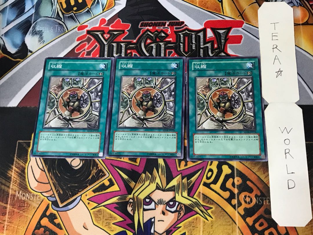 収縮 5 ノーマル 3枚セット てら