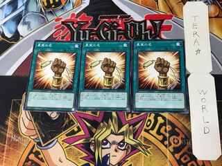 The True Name 1 Normal, set of 3 Tera.