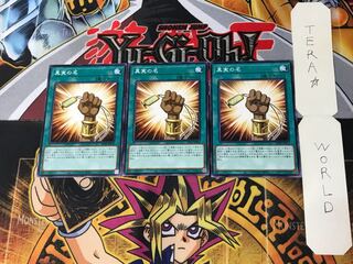 The True Name 4 Normal 3-card set Tera