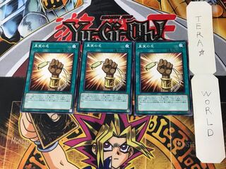 The True Name 5 Normal 3-card set Tera