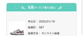 Nike Women's Dunk Low "Rosewood" Summit HoWight/Wolf Grey/Black/Rosewood DD1503-122 26cm