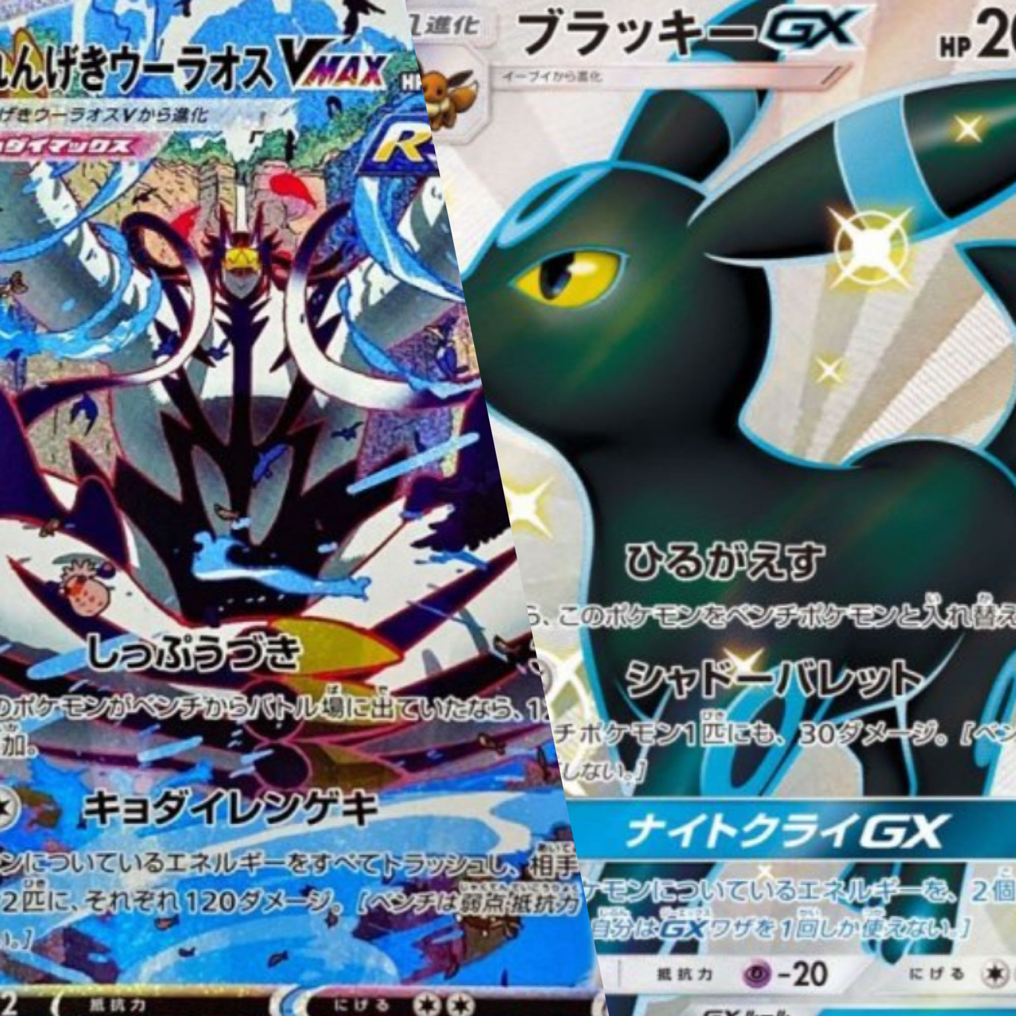 即完売！予約開始！お待たせしました！Y'S SHOP今年1発目のY'Sオリパ！