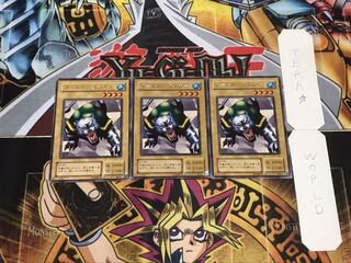 タートル・タイガー 2期ver レア 3枚セット